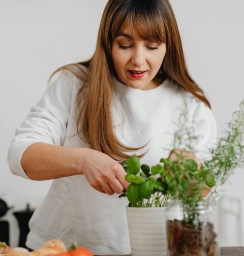 potager d'intérieur