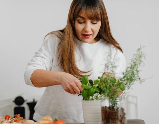 potager d'intérieur